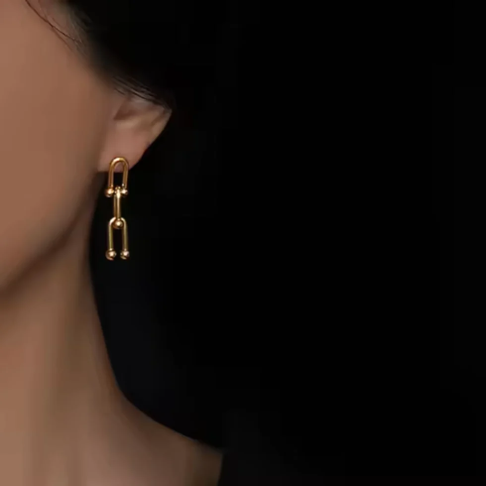 Link Earrings